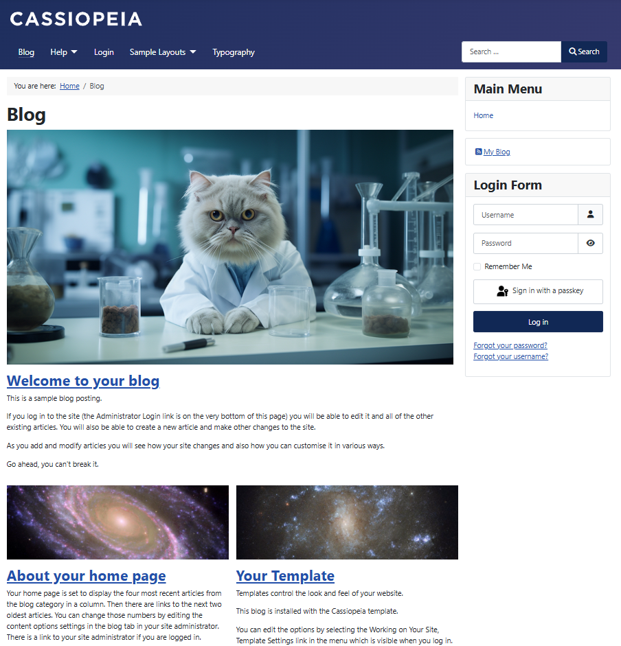 Risultato delle modifiche al template con una categoria del blog che mostra un articolo in primo piano su una colonna con l'immagine completa dell'articolo in primo piano Risultati finali della categoria del Blog
